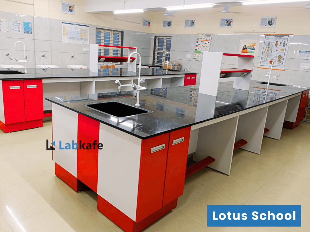 Lotus School